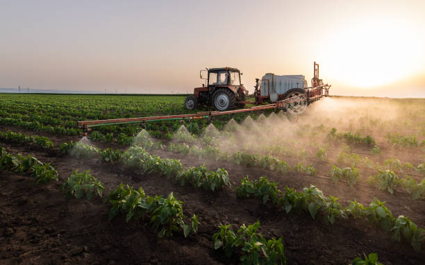 Best Wildlife Control Services  in Chaffee, MO
