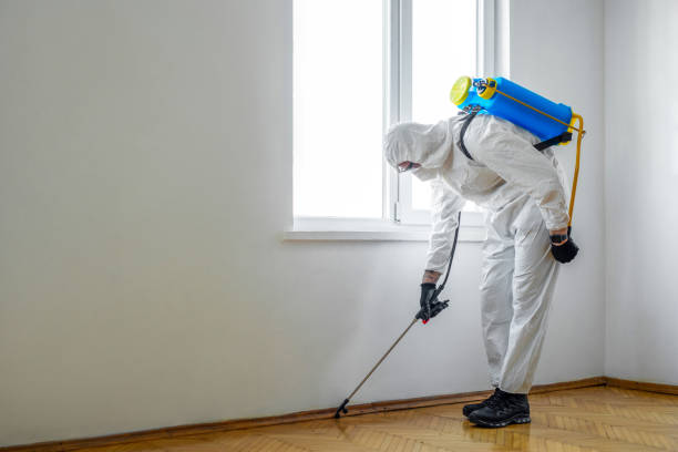 Trusted Chaffee, MO Pest Control Experts
